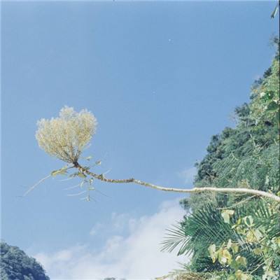 爆裂裁决最新版下载