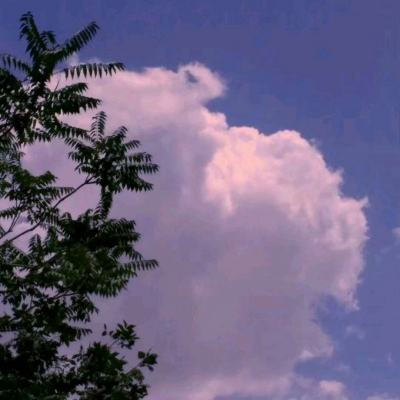 果盘传世霸业八倍爆率版下载